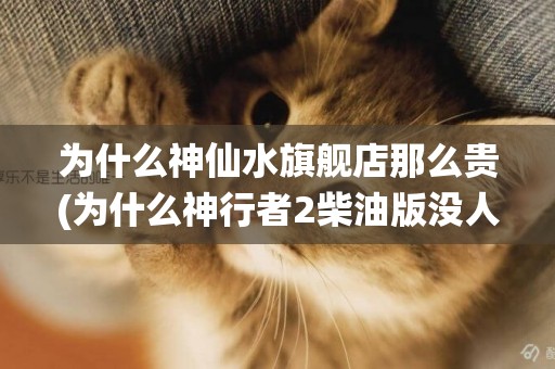 為什么神仙水旗艦店那么貴(為什么神行者2柴油版沒人要) 