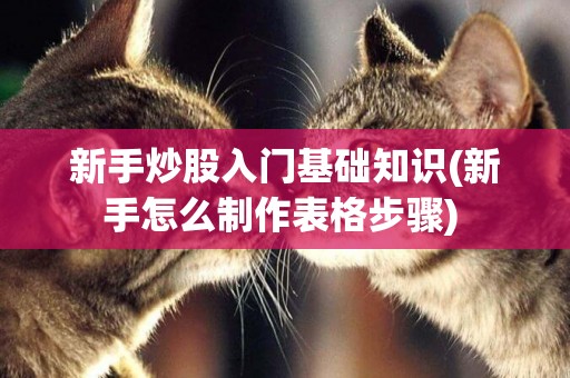 新手炒股入門基礎知識(新手怎么制作表格步驟) 