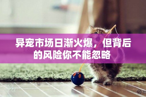 異寵市場日漸火爆，但背后的風險你不能忽略 