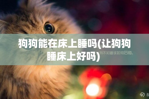 狗狗能在床上睡嗎(讓狗狗睡床上好嗎) 