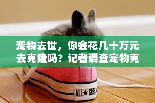 寵物去世，你會花幾十萬元去克隆嗎？記者調查寵物克隆市場 