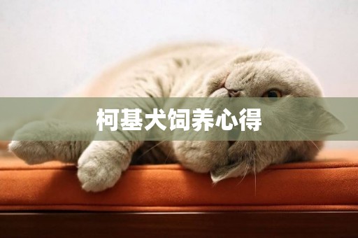 柯基犬飼養心得