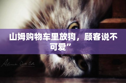 山姆購物車里放狗，顧客說不可愛” 