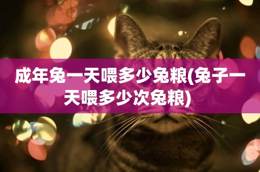 成年兔一天喂多少兔糧(兔子一天喂多少次兔糧) 