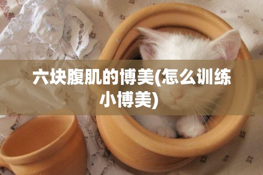 六塊腹肌的博美(怎么訓練小博美) 