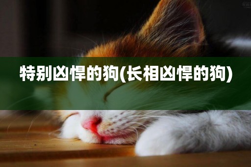 特別兇悍的狗(長相兇悍的狗) 