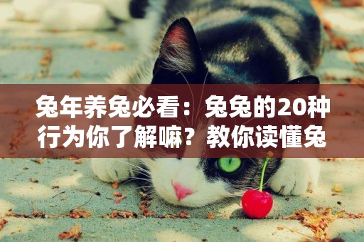 兔年養兔必看：兔兔的20種行為你了解嘛？教你讀懂兔兔小心思 