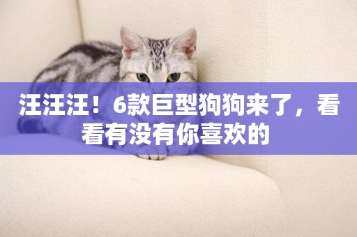汪汪汪！6款巨型狗狗來了，看看有沒有你喜歡的 