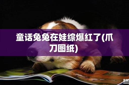 童話兔兔在娃綜爆紅了(爪刀圖紙) 