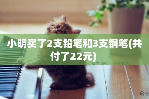 小明買了2支鉛筆和3支鋼筆(共付了22元) 