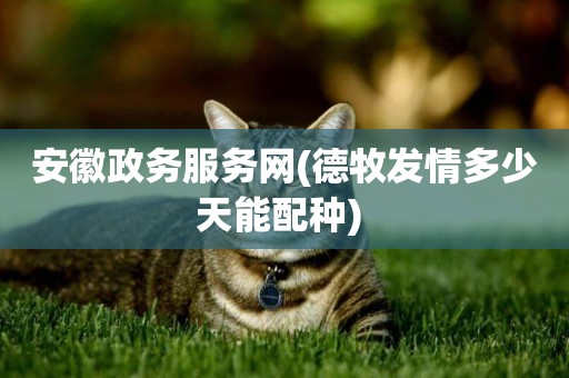 安徽政務服務網(德牧發情多少天能配種) 