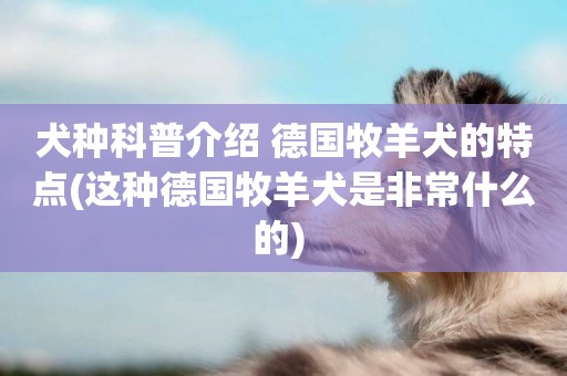 犬種科普介紹 德國牧羊犬的特點(這種德國牧羊犬是非常什么的) 