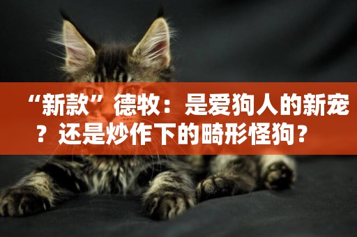 “新款”德牧：是愛狗人的新寵？還是炒作下的畸形怪狗？ 