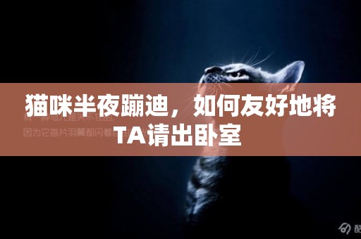 貓咪半夜蹦迪，如何友好地將TA請出臥室 