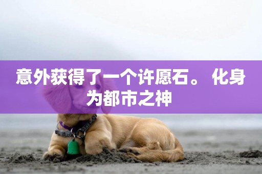 意外獲得了一個許愿石。 化身為都市之神 