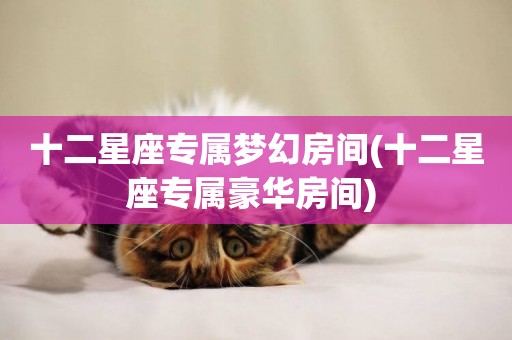 十二星座專屬夢幻房間(十二星座專屬豪華房間) 