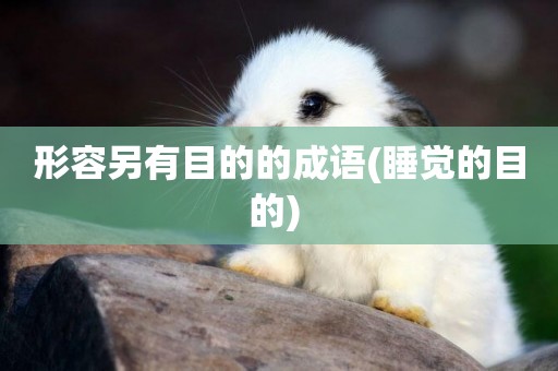 形容另有目的的成語(睡覺的目的) 