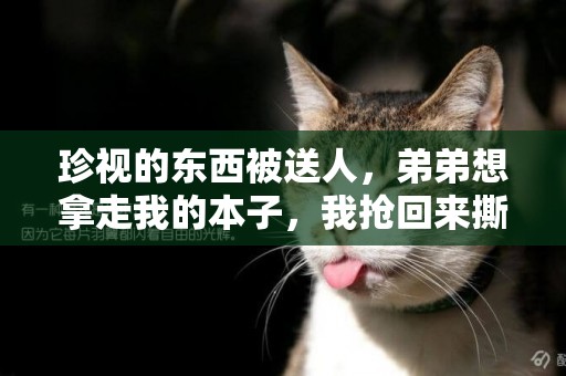珍視的東西被送人，弟弟想拿走我的本子，我搶回來撕得粉碎 