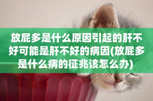 放屁多是什么原因引起的肝不好可能是肝不好的病因(放屁多是什么病的征兆該怎么辦) 