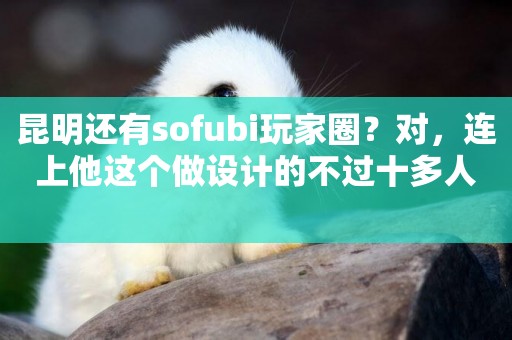 昆明還有sofubi玩家圈？對，連上他這個做設計的不過十多人 