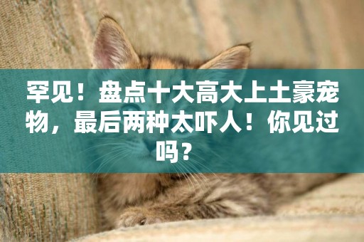 罕見！盤點十大高大上土豪寵物，最后兩種太嚇人！你見過嗎？ 