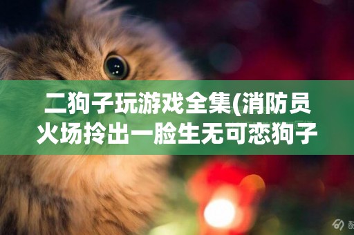 二狗子玩游戲全集(消防員火場拎出一臉生無可戀狗子) 