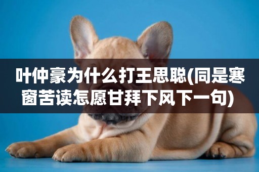 葉仲豪為什么打王思聰(同是寒窗苦讀怎愿甘拜下風下一句) 
