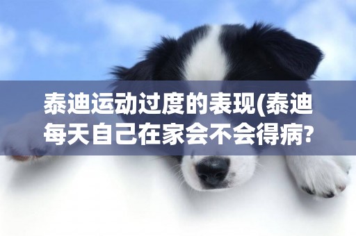 泰迪運動過度的表現(泰迪每天自己在家會不會得病?) 