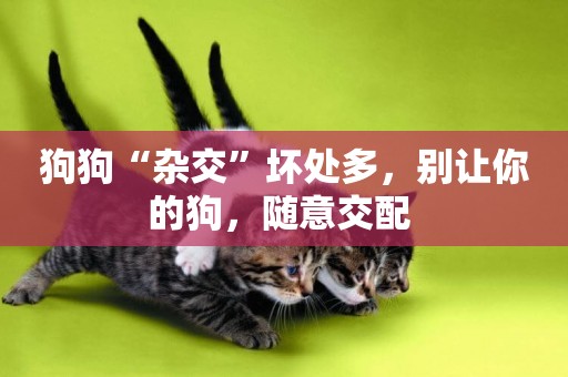 狗狗“雜交”壞處多，別讓你的狗，隨意交配 