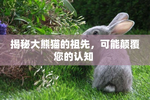 揭秘大熊貓的祖先，可能顛覆您的認知 