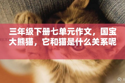 三年級下冊七單元作文，國寶大熊貓，它和貓是什么關系呢 