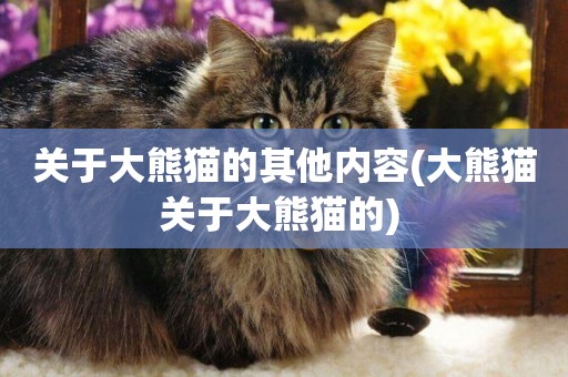 關于大熊貓的其他內容(大熊貓關于大熊貓的) 
