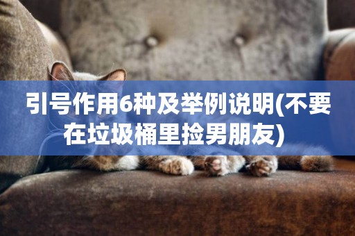 引號作用6種及舉例說明(不要在垃圾桶里撿男朋友) 