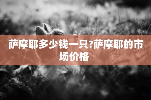 薩摩耶多少錢一只?薩摩耶的市場價格 