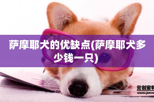 薩摩耶犬的優缺點(薩摩耶犬多少錢一只) 