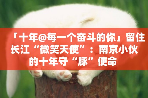「十年@每一個奮斗的你」留住長江“微笑天使”：南京小伙的十年守“豚”使命 