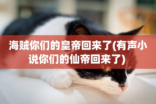 海賊你們的皇帝回來了(有聲小說你們的仙帝回來了) 