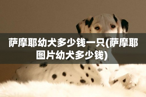 薩摩耶幼犬多少錢一只(薩摩耶圖片幼犬多少錢) 