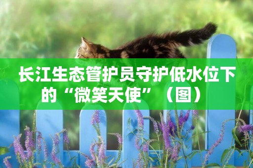 長江生態管護員守護低水位下的“微笑天使”（圖） 
