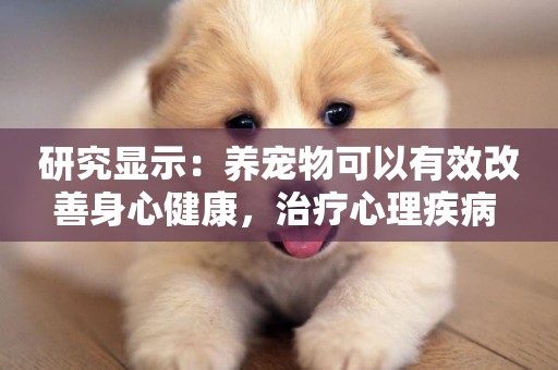 研究顯示：養寵物可以有效改善身心健康，治療心理疾病 