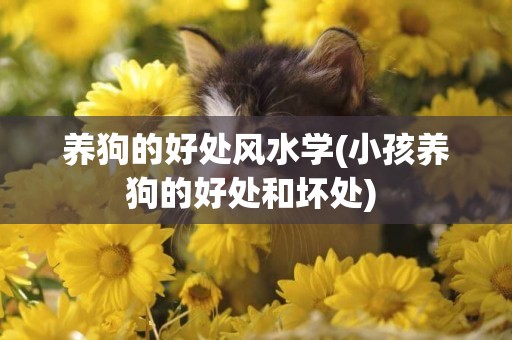 養狗的好處風水學(小孩養狗的好處和壞處) 