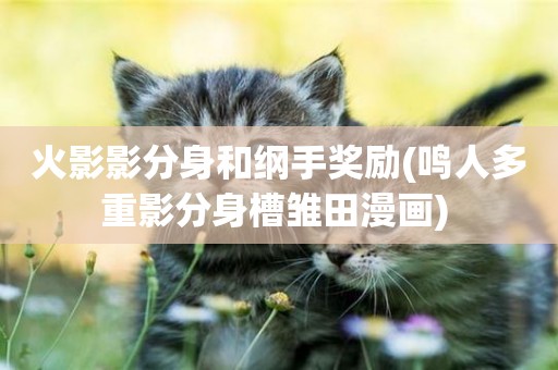 火影影分身和綱手獎勵(鳴人多重影分身槽雛田漫畫) 