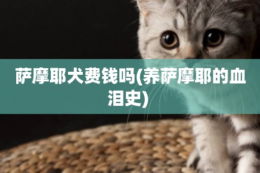 薩摩耶犬費錢嗎(養薩摩耶的血淚史) 