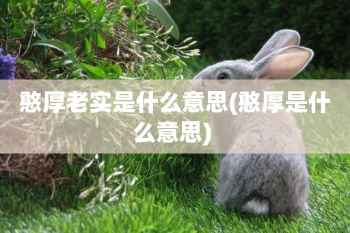 憨厚老實是什么意思(憨厚是什么意思) 
