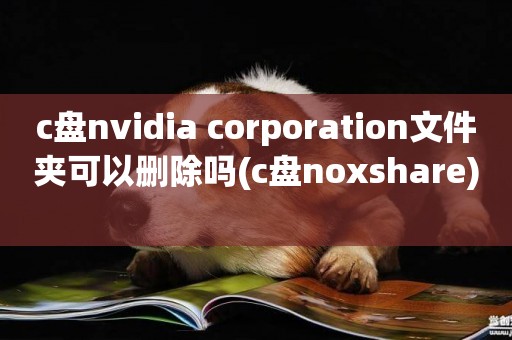 c盤nvidia corporation文件夾可以刪除嗎(c盤noxshare) 
