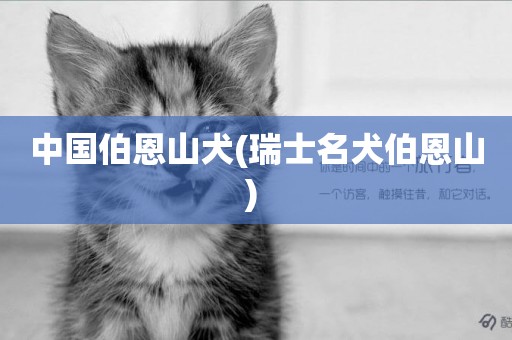中國伯恩山犬(瑞士名犬伯恩山) 