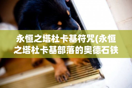 永恒之塔杜卡基符咒(永恒之塔杜卡基部落的奧德石鐵鍋) 