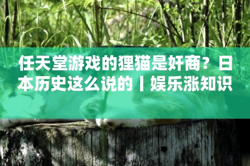 任天堂游戲的貍貓是奸商？日本歷史這么說的丨娛樂漲知識 