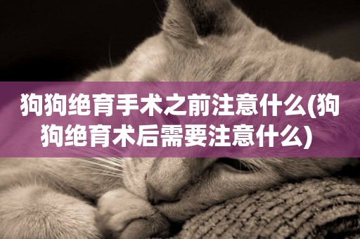 狗狗絕育手術之前注意什么(狗狗絕育術后需要注意什么) 