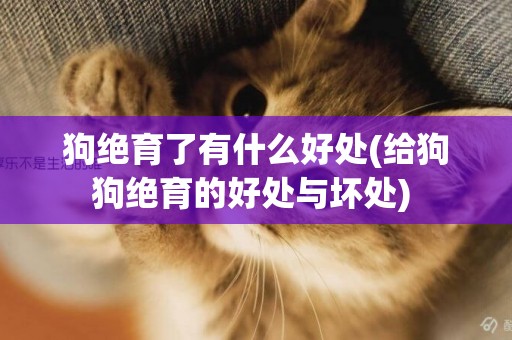 狗絕育了有什么好處(給狗狗絕育的好處與壞處) 